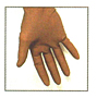 Latex Glove-Class 10 (ISO 4) p66