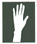 Long Nylon Glove p67
